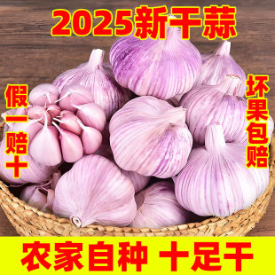 今年新干蒜5斤2斤大蒜头农家新大蒜头250g起紫白皮1斤 款 秒杀