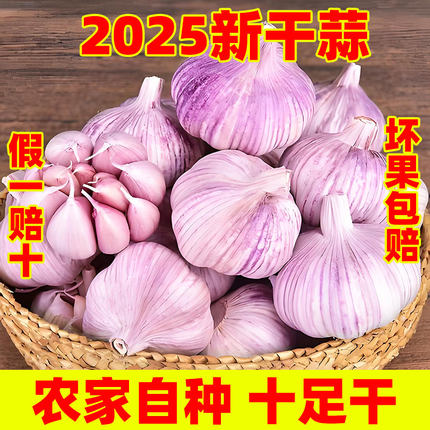 【秒杀款】今年新干蒜5斤2斤大蒜头农家新大蒜头250g起紫白皮1斤