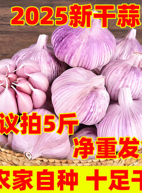 【净重发货】今年新干蒜5斤2斤大蒜头农家新大蒜头3斤起紫白皮1斤