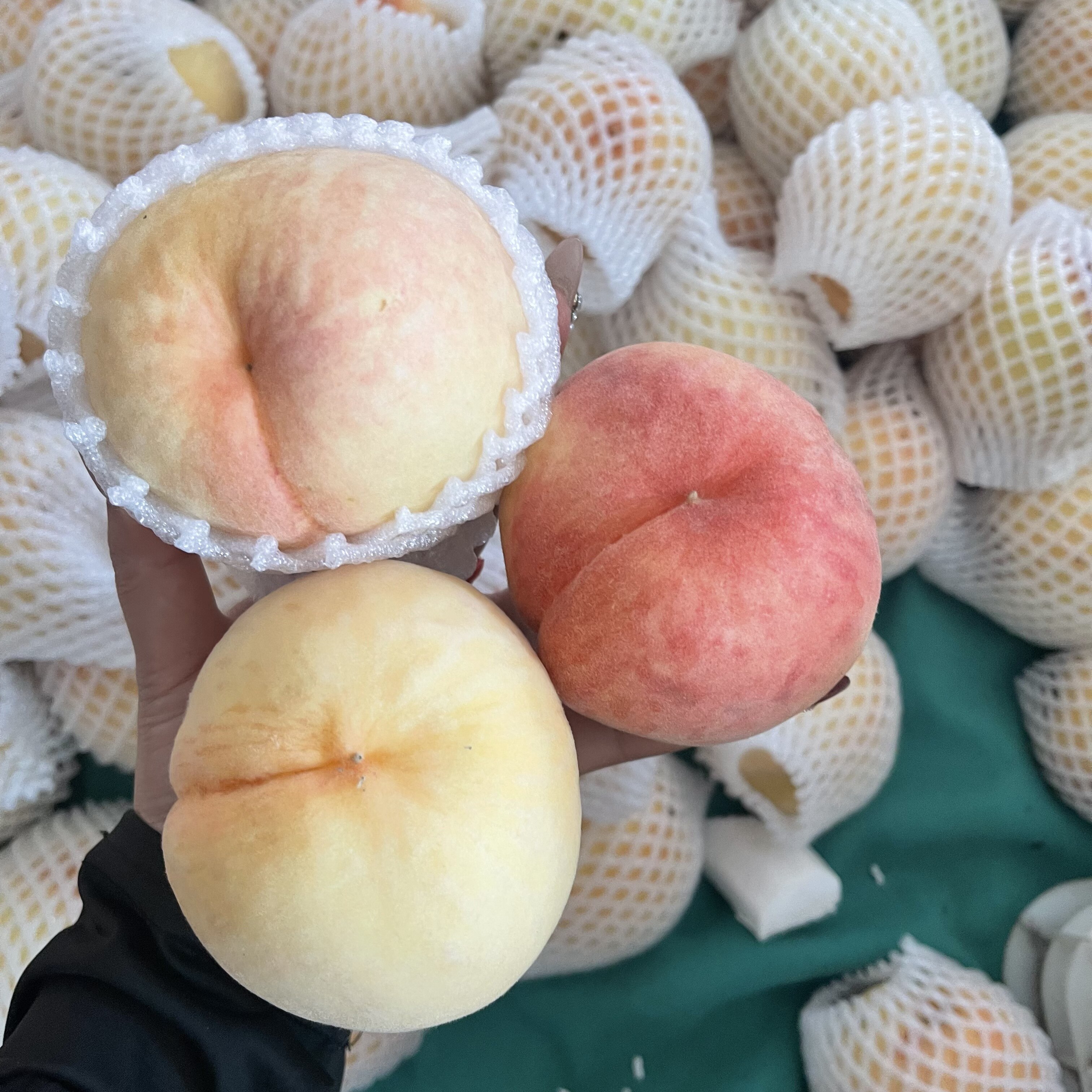 【放不软脆桃】脆甜水蜜桃脆桃新鲜孕妇水果坏果包赔
