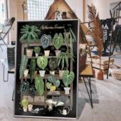 植植烛SCK常乐 画玄关画沙发背景 饰 原创INS风物画 画客墙厅装