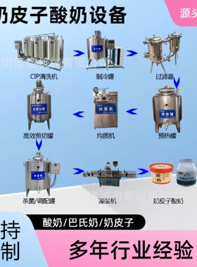 奶皮子酸奶加工设备凝固型酸奶生产线液态乳设备厂家奶酥生产机器