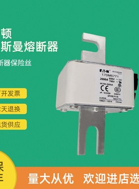 全新快速熔断器保险170M6717 170M6718 170M6719 W170M6720