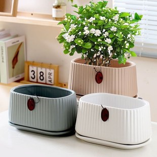 花盆陶瓷兰花蝴蝶兰花盆家用郁金香花盆多肉花盆大号带托盘高端