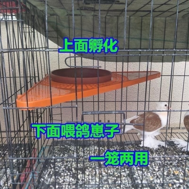 鸽子窝支架担架蛋盆托支架鸽笼子隔断三角站架信鸽用品鸽具大全