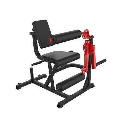 腿屈伸训练器entra?neur de flexion des jambes