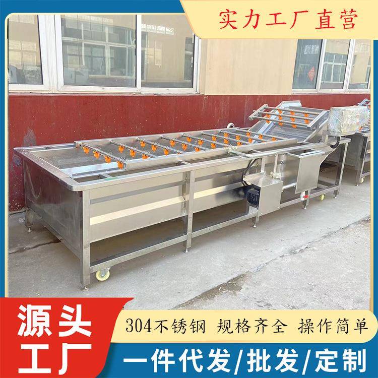 大型全自动海棠果洗果机商用椰子气泡清洗机海枣酸枣仁清洗流水线