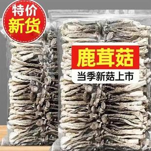新货24年鹿茸菇500g干货鹿茸菌无硫新鲜古田脆脆菇蘑姑干香菇 包邮