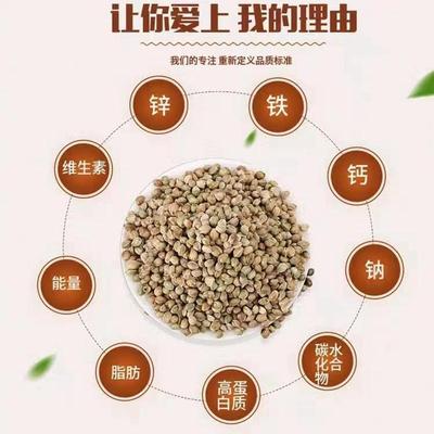 新货麻子大粒人吃新货特大