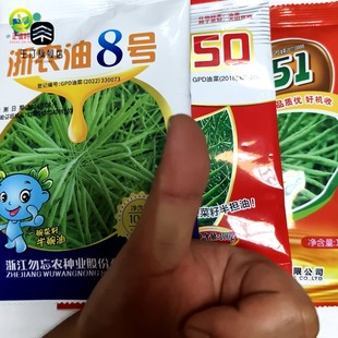 浙油51油菜籽浙油50油菜种子高产高油抗病抗倒伏油菜籽种榨油专用