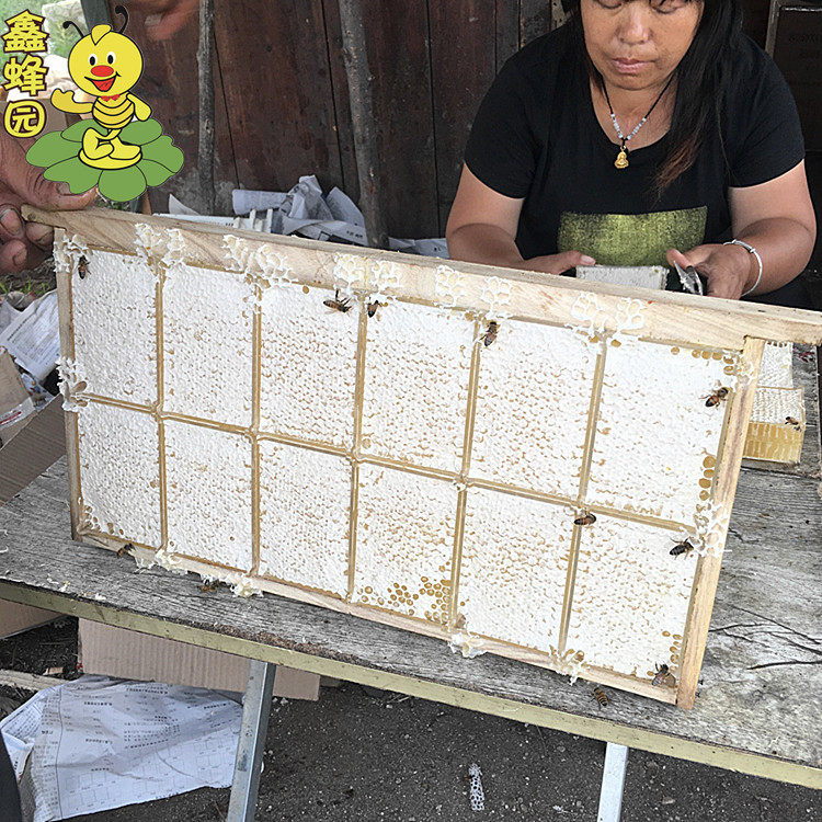 荆条蜂巢蜜300g 盒装农家自产土蜂蜜百花蜜峰巢蜜一件