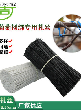 葡萄扎线 0.55圆扁一万条12cm白色扎带 绑丝猕猴桃绑枝园林扎丝