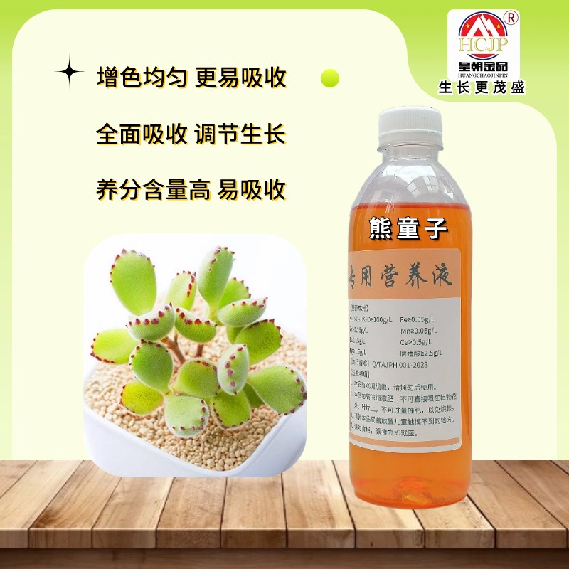 熊童子熊掌专用营养液家室内厅阳台盆栽老桩多肉植物浓缩开花肥料
