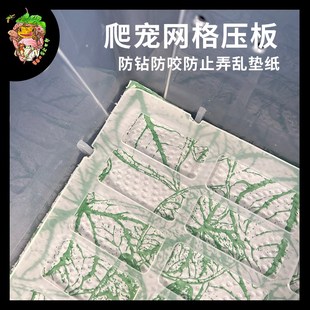 草莓异宠世界爬宠店睫角守宫巨人角蛙饲养盒垫材网格压板透明卫生