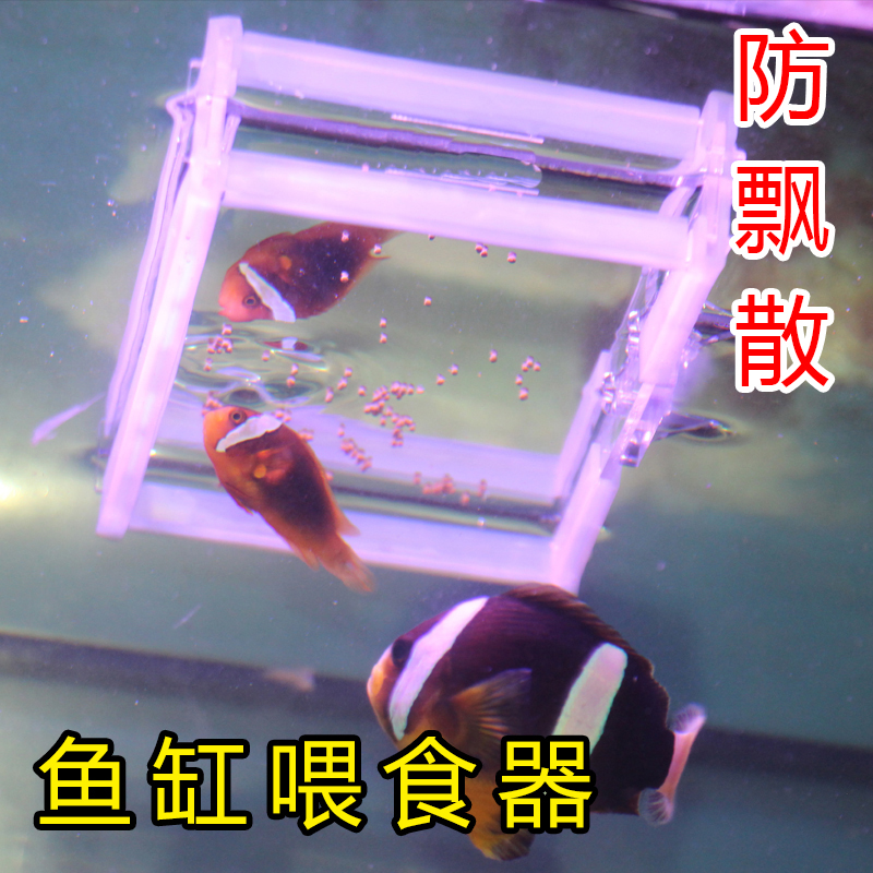 鱼缸喂食器水族箱鱼食投食器喂食圈小型鱼热带孔雀鱼缸饲料投喂器