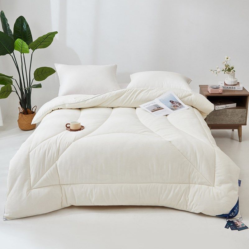 2024母婴级a类全棉大豆纤维被冬被加厚保暖纯棉150200大豆被子D,床上用品,化纤被,淘宝优惠券,粉丝福利购,淘宝优惠卷