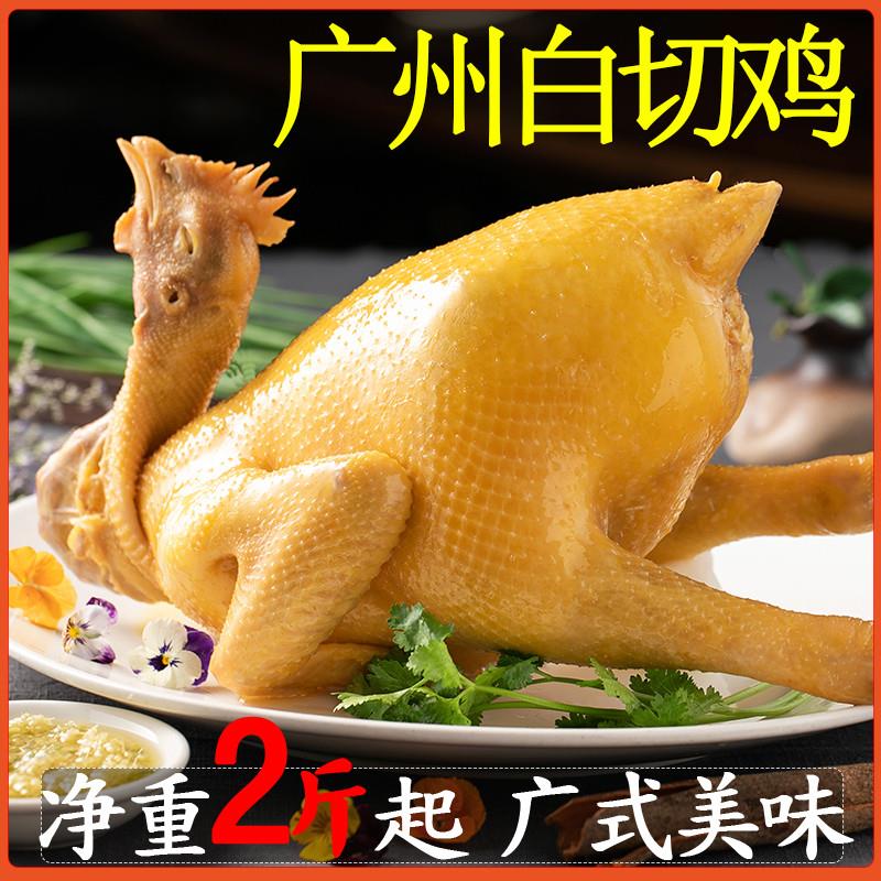 正宗广东白切鸡整只广州白