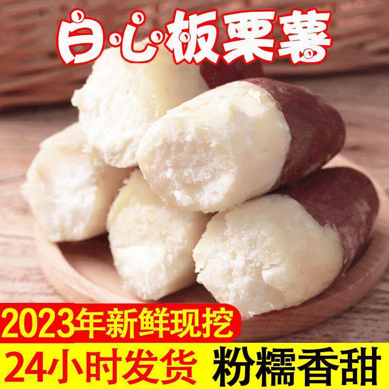 新货白心板栗薯10斤河南新