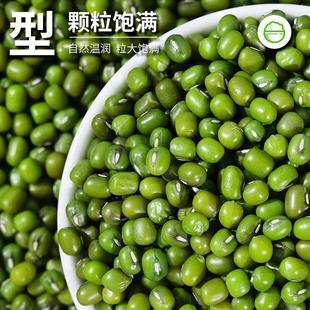 正宗农家当季 出沙绿豆五谷杂粮粗粮消暑绿豆汤可发豆 新货绿豆罐装