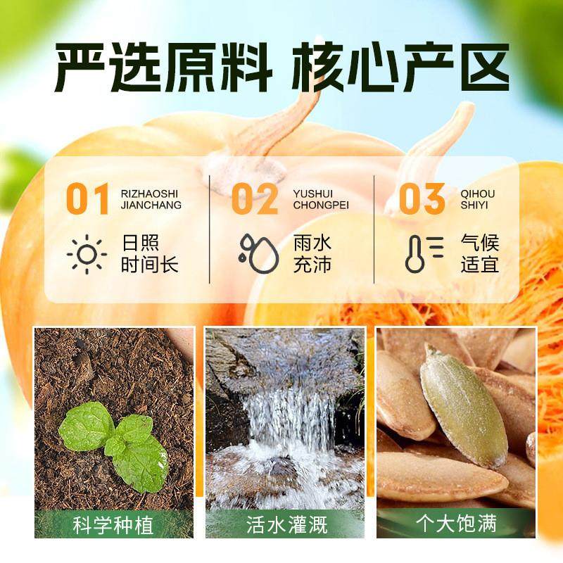 正宗纯素零食品佛家庙斋菜素食带壳南瓜子独立小包装椒盐味休闲零
