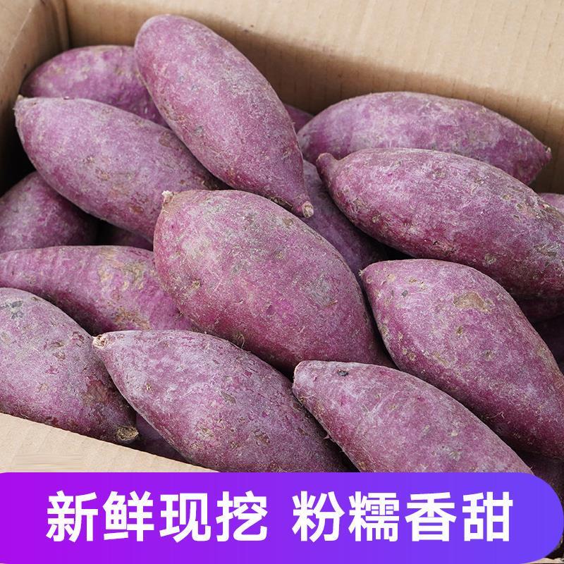新货5斤国产紫薯新鲜紫罗