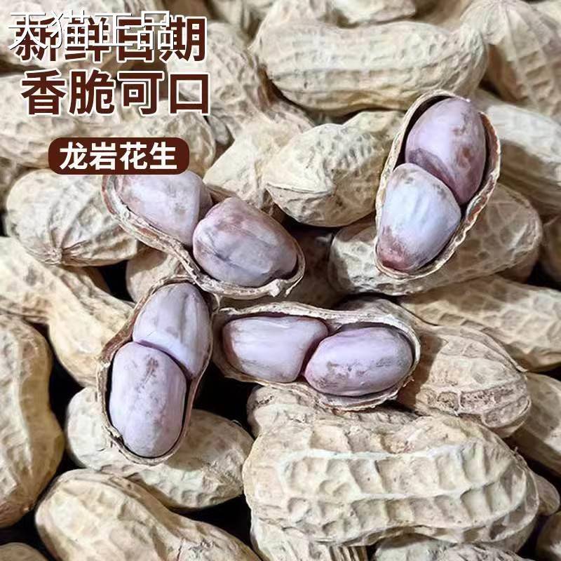 龙岩花生蒜香五香香酥原味盐水白晒咸干水煮花生米带壳炒货熟零食