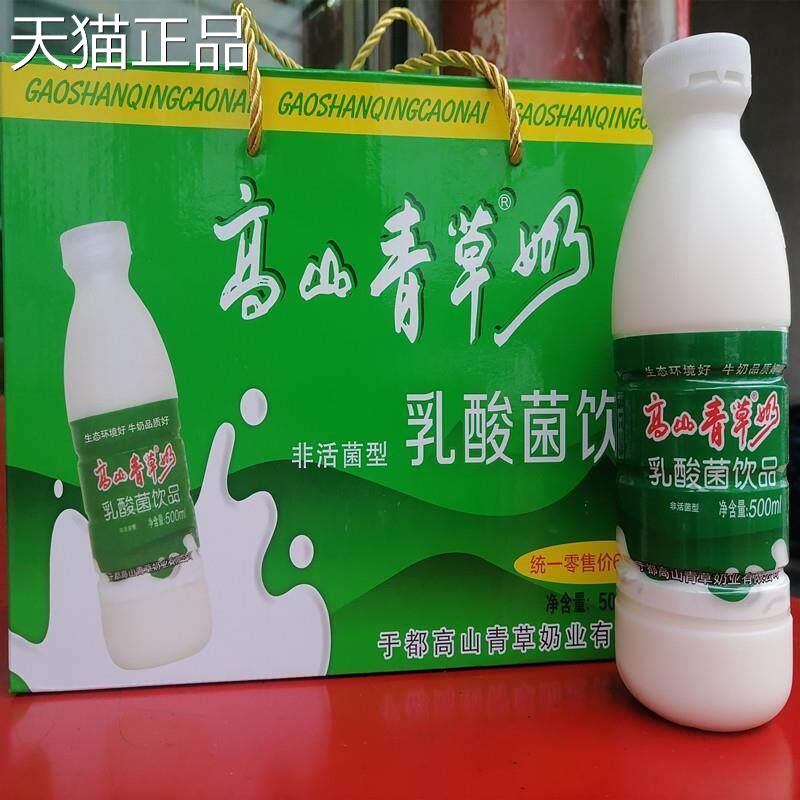 江西赣州于 于都高山青草奶500ml瓶乳酸菌饮品早餐酸奶屏山牧场牛