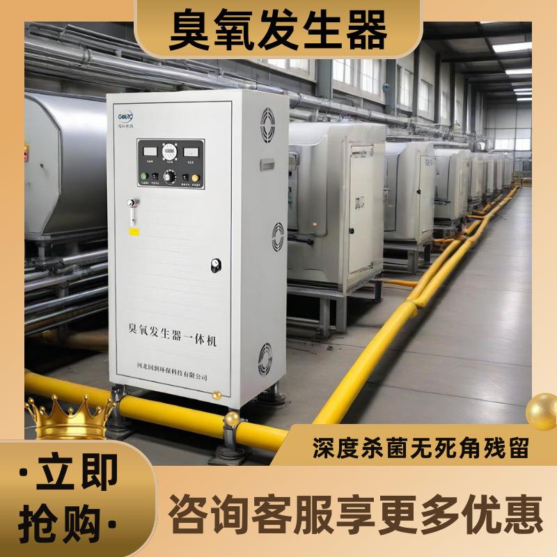 消毒机臭氧发生器中央空调食品厂车间除臭垃圾处理杀菌净化器空气