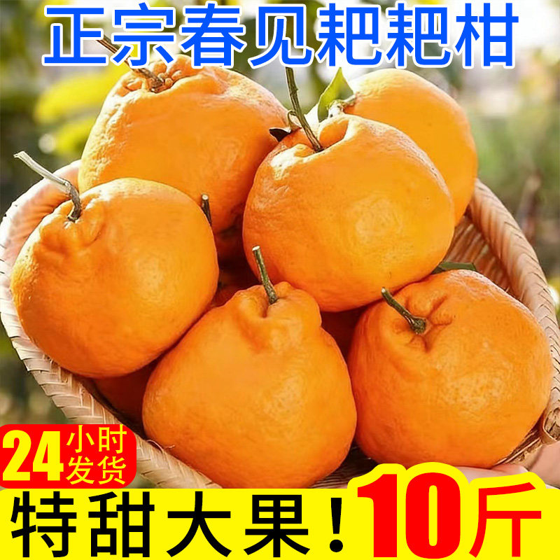 春见耙耙柑橘子10斤特甜蜜橘新鲜桔子当季时令应季水果整箱柑橘,水产肉类/新鲜蔬果/熟食,桔子,淘宝优惠券,粉丝福利购,淘宝优惠卷