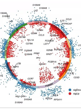 代做MS VASP高斯计算gromacs Amber代做分子对接Lammps分子动力学