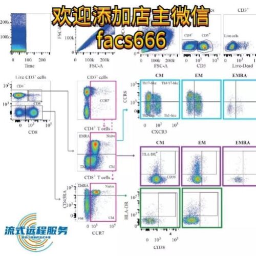 生信分析服务TGGA数据挖掘GEO网络药理学单细胞测序空间转录组急