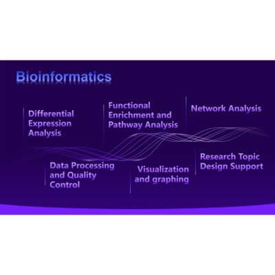 生信分析 Bioinformatics Analysis