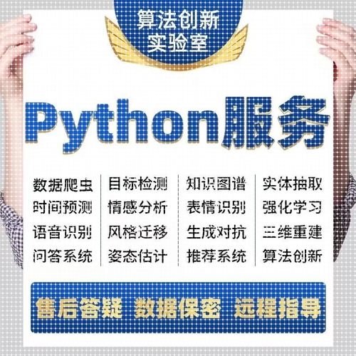 Python代编程深度学习算法代码接单图像分割强化学习指导神经网络