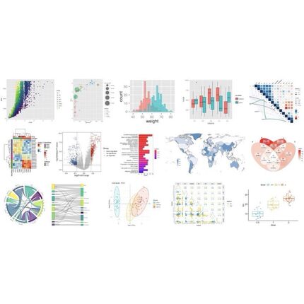 个人】r语言医学统计生物数据生存SPSS生信分析图形绘制临床画图