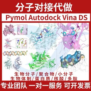 分子对接 药物虚拟筛选Pymol作图autodock vina DS金属酶柔性对接