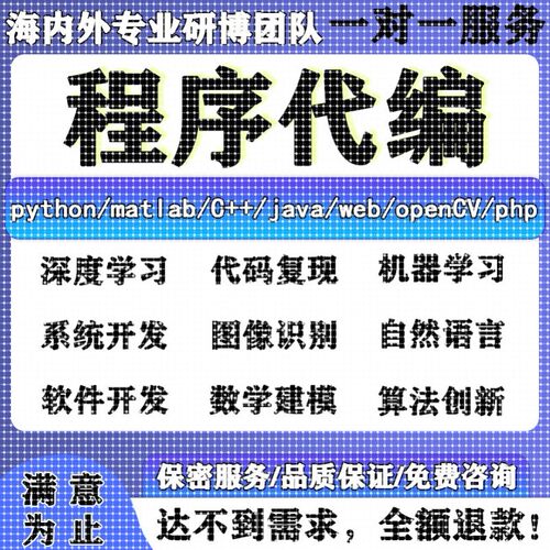 python代编程深度学习java程序代做matlab代码web帮做仿真算法c++