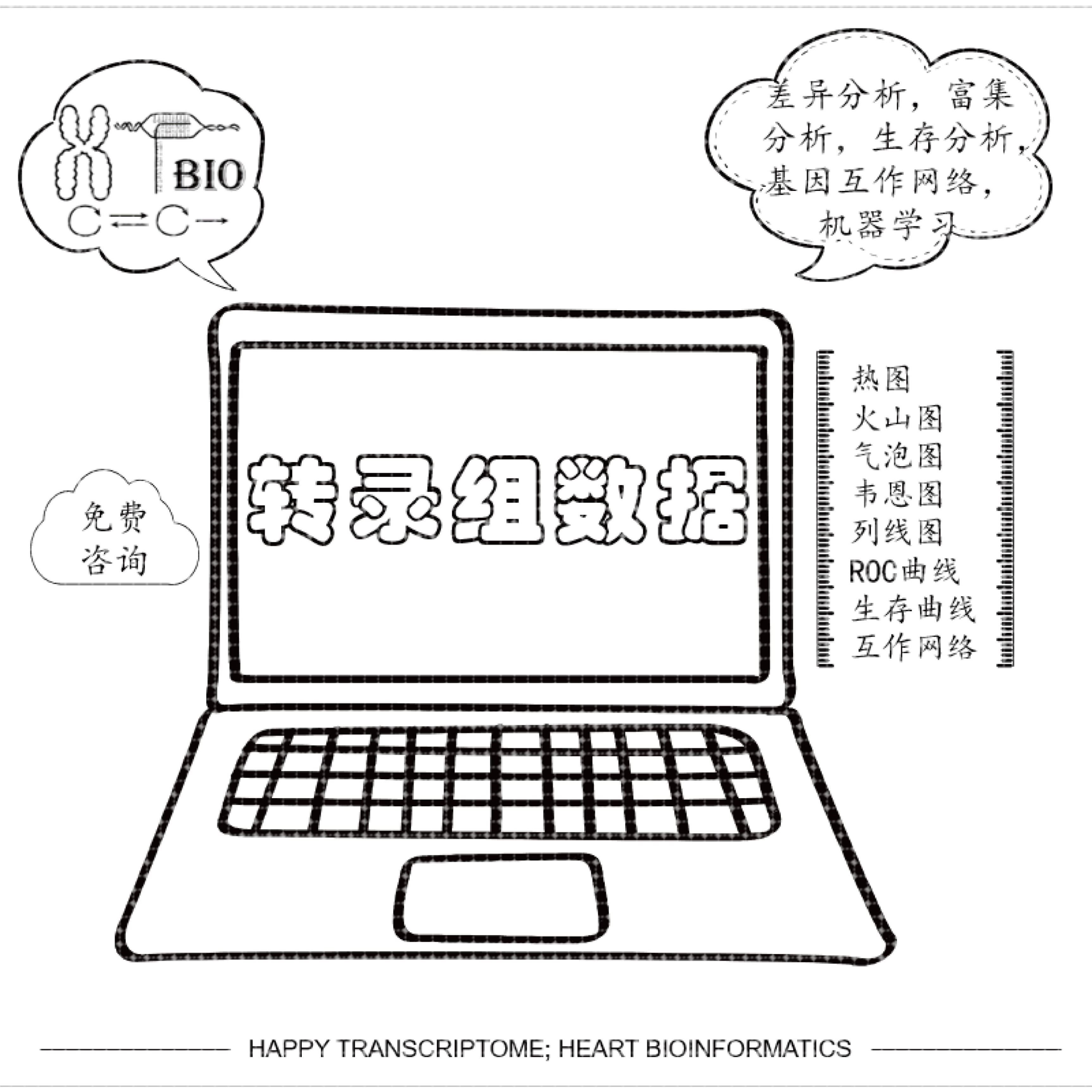 转录组数据分析生物信息学服务
