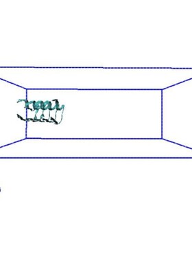 蛋白蛋白分子对接DS分析MD分子动力学分析PDB构建