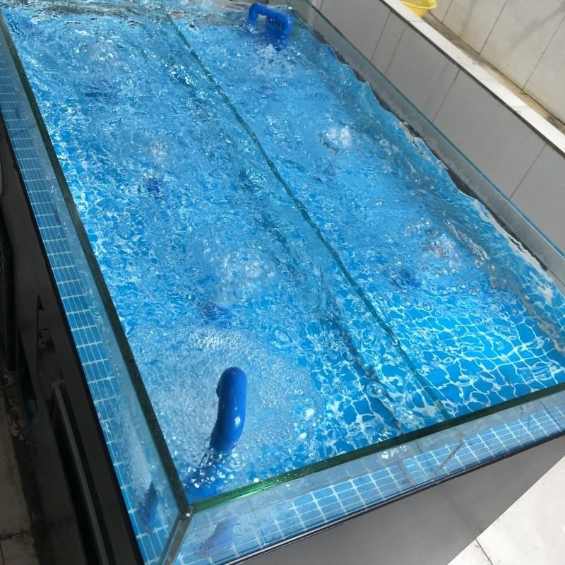 贝类池移动海鲜鱼缸制冷机一体龙虾贝类养殖海鲜缸海鲜池