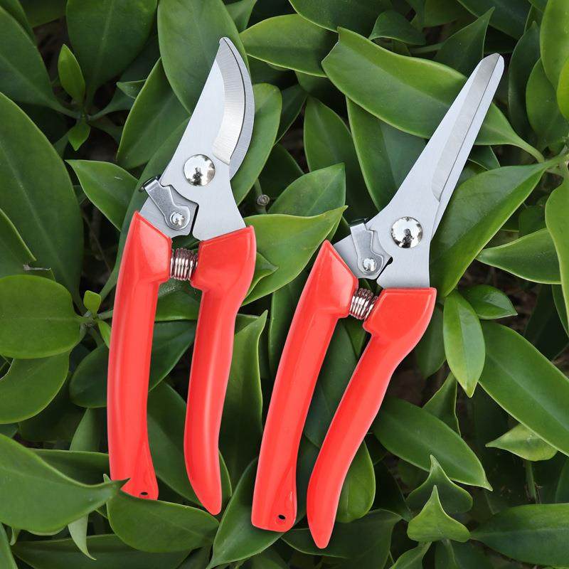 园林园艺修枝剪家用修花修建树枝花卉多功能玫瑰剪不锈钢强力剪子