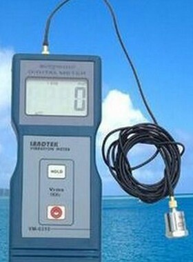 兰泰测振仪VM-6n310振动仪 VM6310 振动仪 测震仪