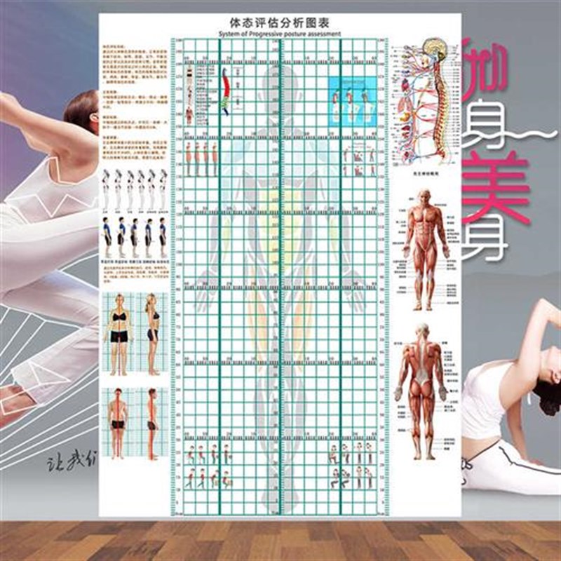 体态评估表身体评估体测表墙纸脊柱侧弯测量图体姿体态分析图壁纸
