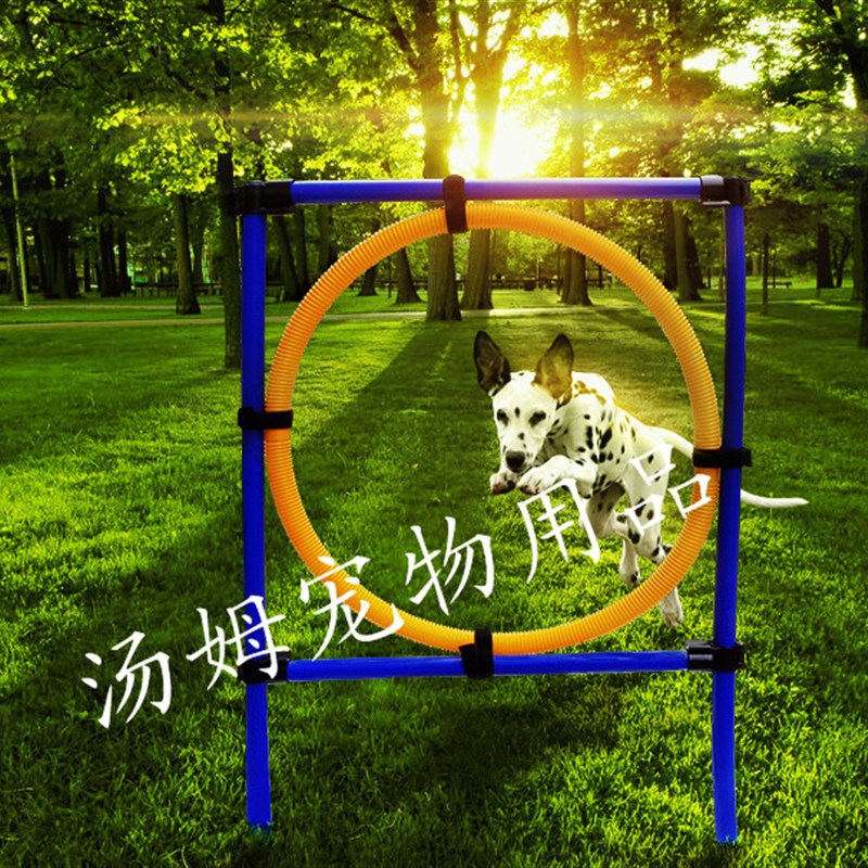 宠物训练用品狗狗跳环跳圈 训练灵敏度跳杆 狗狗户外运动器材