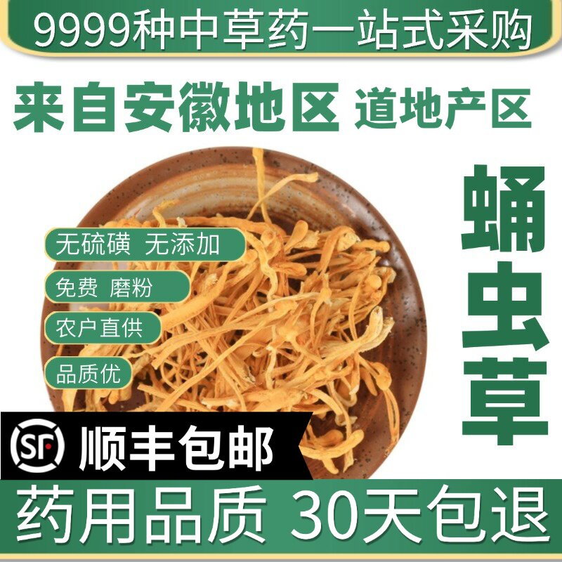 材特级野生冬虫草花 孢子头 北虫草 蛹虫草 新鲜干货50g