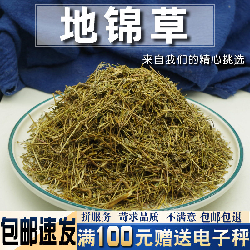 地锦草500克 中药材奶浆草 铺地锦 铺地红 卧蛋草 小飞扬草