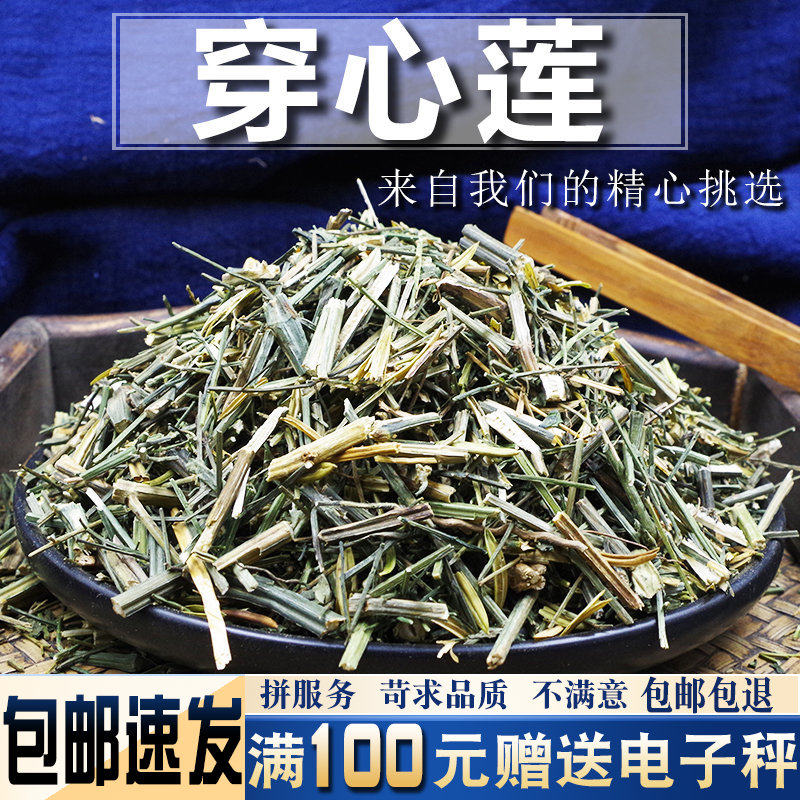 穿心莲500克中药材 春莲秋柳一见喜榄核莲苦胆草金香草金耳钩
