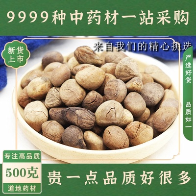 大枫子500克 中药材新货大风子大枫子仁麻风子 粒粒饱满无流