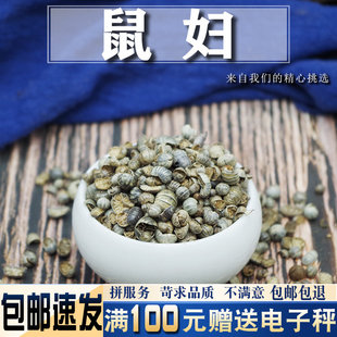 鼠妇虫50克 潮虫 地虱 鼠负 鼠姑 湿生虫 昆虫类中药材大全