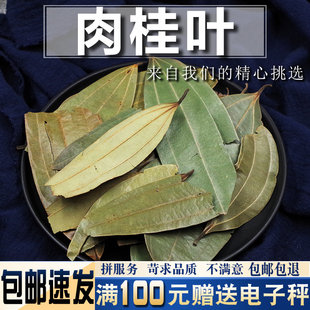 肉桂叶500克 大桂叶大月桂树叶香桂叶香料调料大全卤肉料