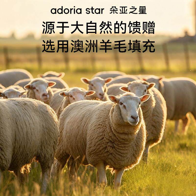 朵亚之星澳洲进口羊毛被抗菌羊绒冬被加厚保暖单人春秋被芯四季被
